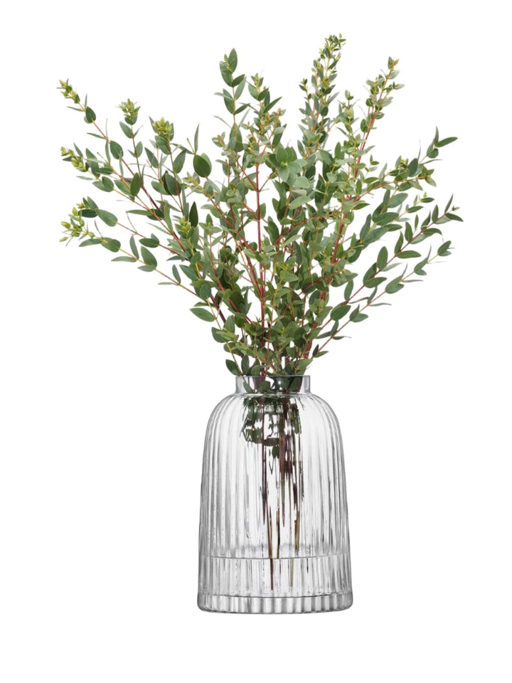Clear 20cm Pleat Vase by LSA International featuring a textured pleated glass design, perfect for elegant home decor.