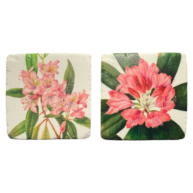 Gisela Graham Pink Rhododendron Resin Coasters – Floral Botanical Tableware (Assorted)