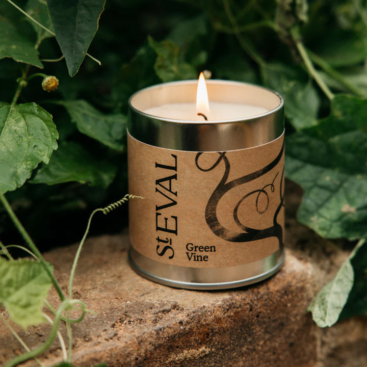 St Eval Green Vine Tin Candle
