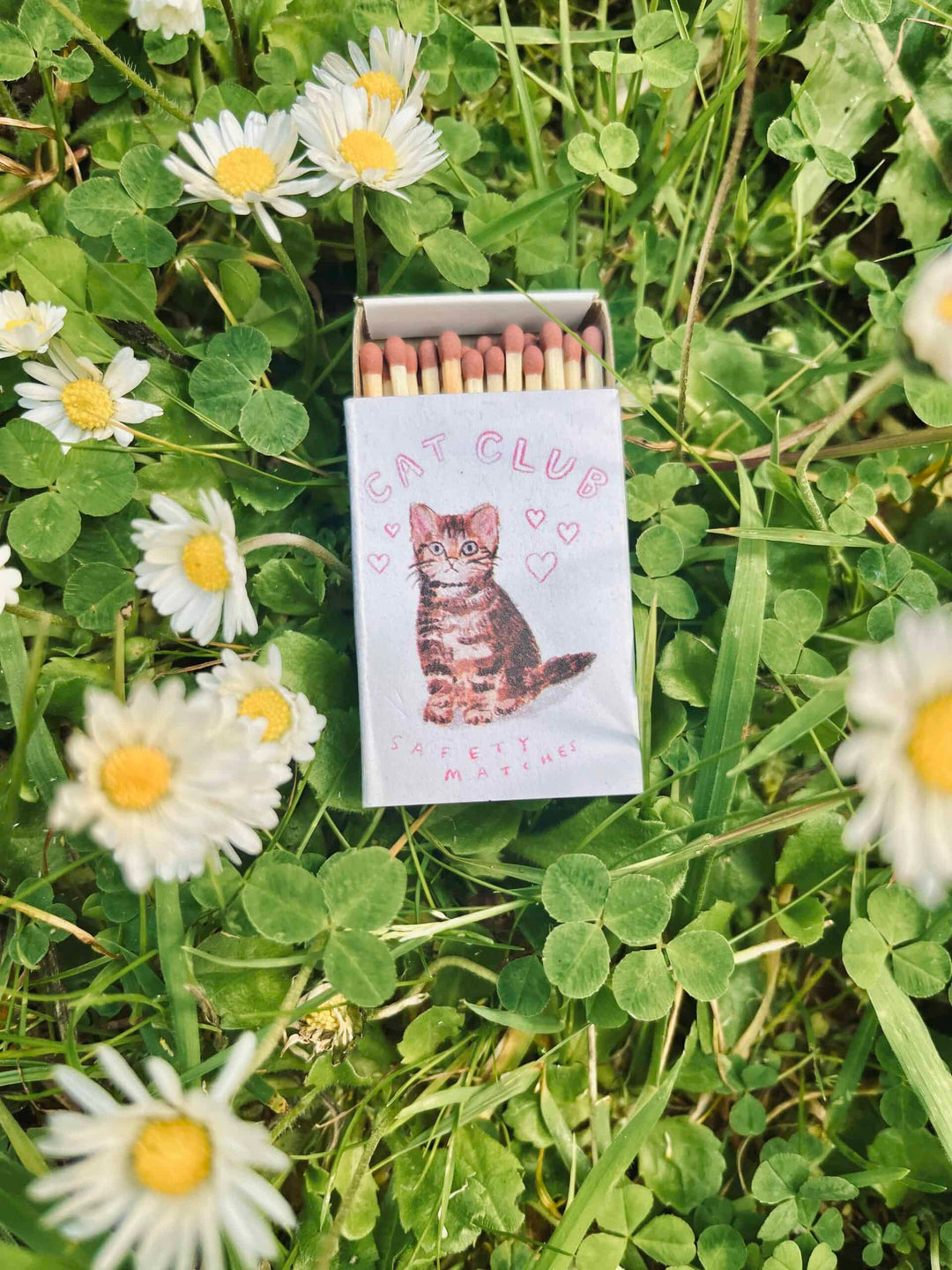 Laura Skilbeck Cat Club Matches in a decorative box by Cornucopia Home and Gift, featuring colorful cat illustrations.