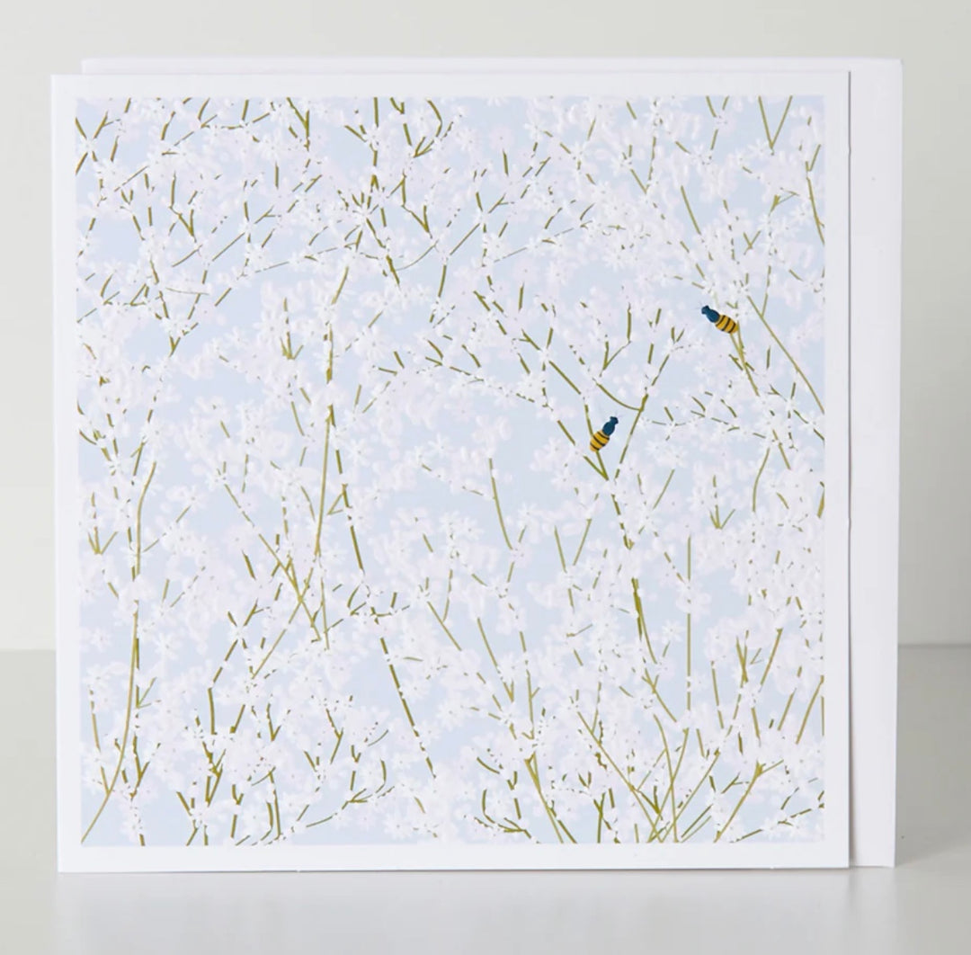 Blank gypsophilia-themed belly button card by Cornucopia Home and Gift, featuring delicate gypsophilia flower design.