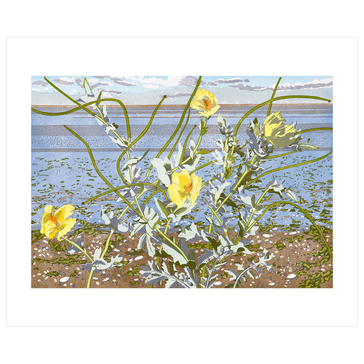 Horned Poppy Card