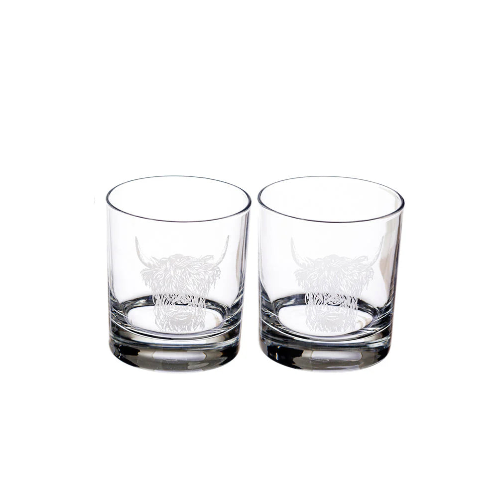 Set of 2 Highland Cow glass tumblers by Selbrae House featuring detailed Highland Cow illustration, perfect for rustic drinkware.