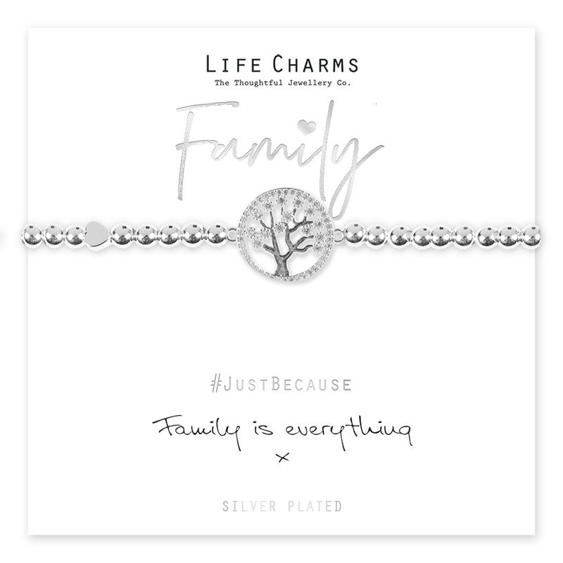 Family bracelet with life charms from Cornucopia Home and Gift, featuring colorful and meaningful jewelry design.
