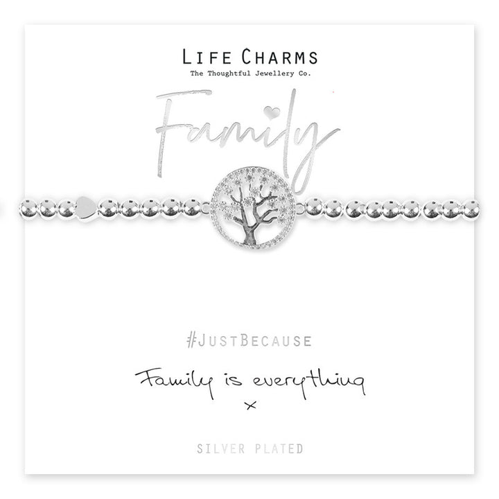 Family bracelet with life charms from Cornucopia Home and Gift, featuring colorful and meaningful jewelry design.