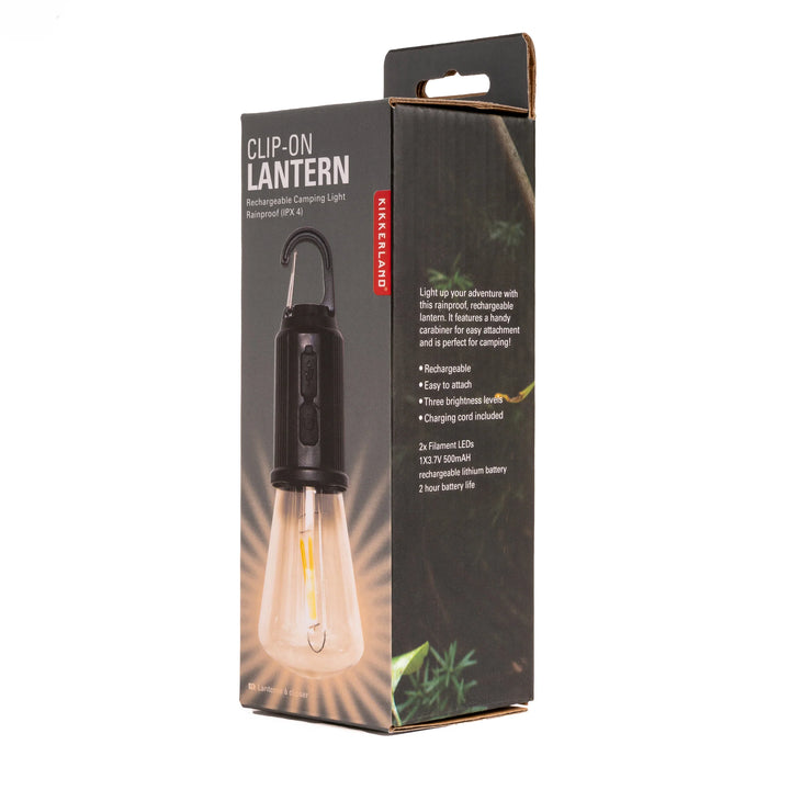 Hanging Clip Light
