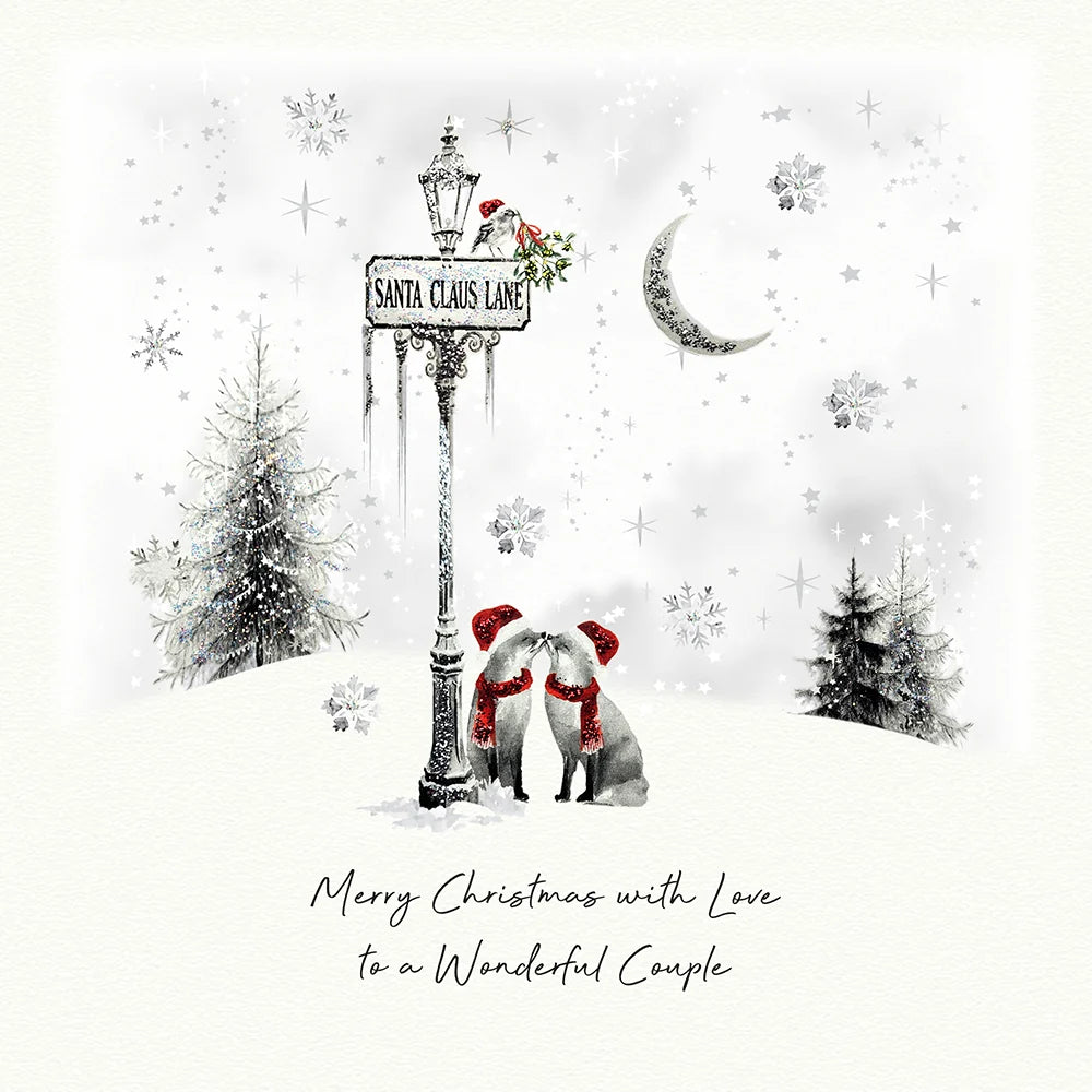 Wonderful Couple Christmas Card - With Love