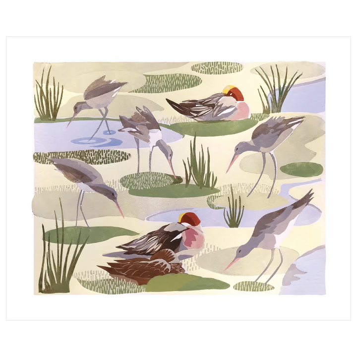 Godwits and Widgeon Art Card
