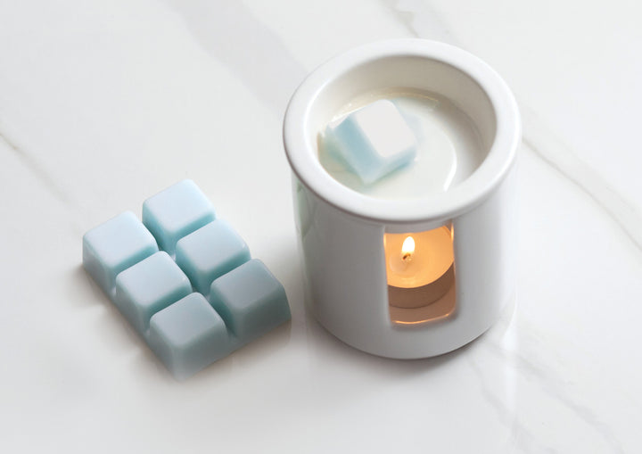 Sea Salt &amp; Oakmoss  - Wax Melter Set