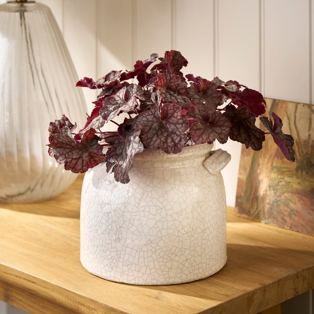 Garden Trading White Ceramic Plant Pot with Handles - Ravello 21cm