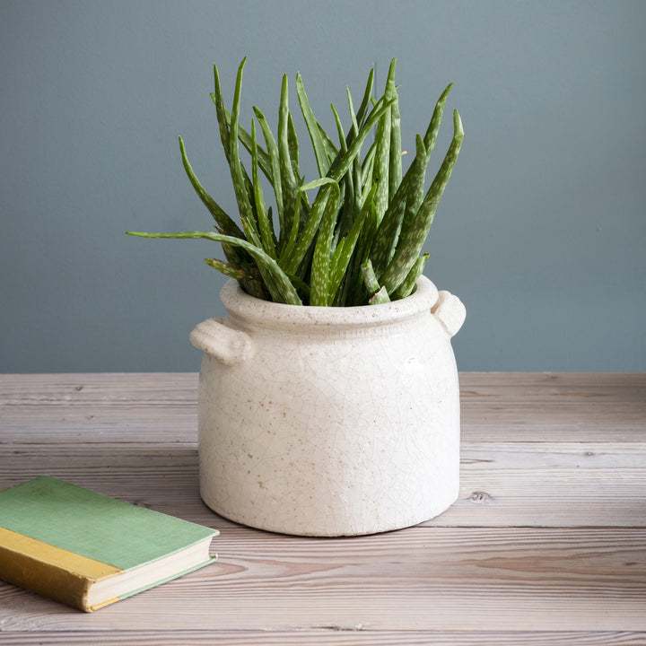 Garden Trading White Ceramic Plant Pot with Handles - Ravello 21cm