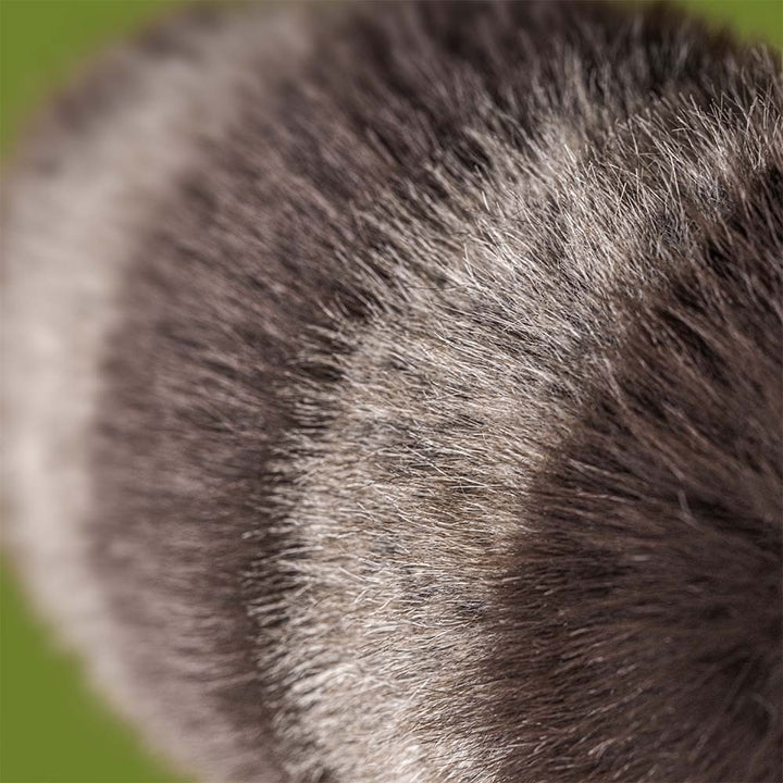 Jellycat Trixiwoo Raccoon