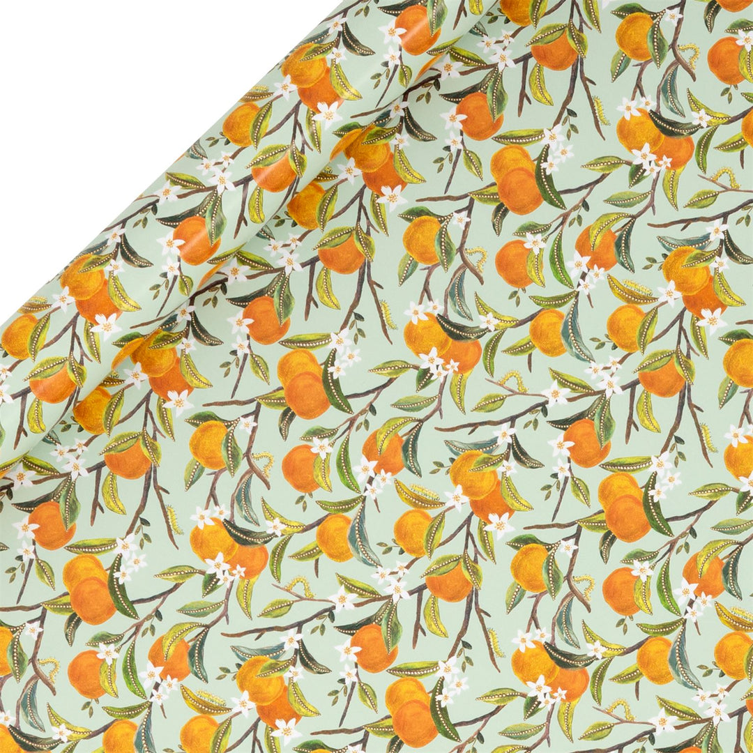 Orange Orchard Collection Roll Wrap