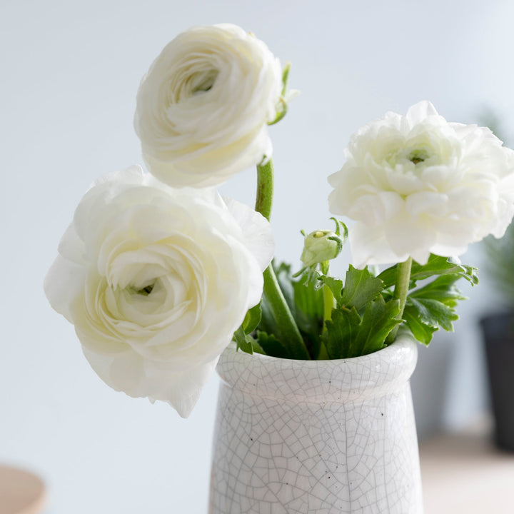Ravello Bottle Vase - White