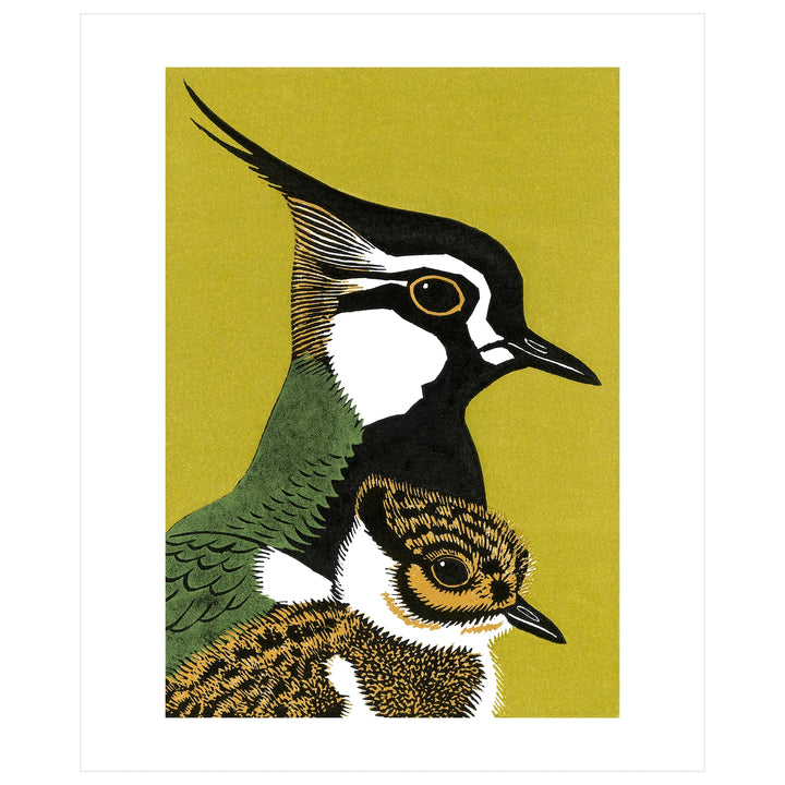 Peewit Art Card