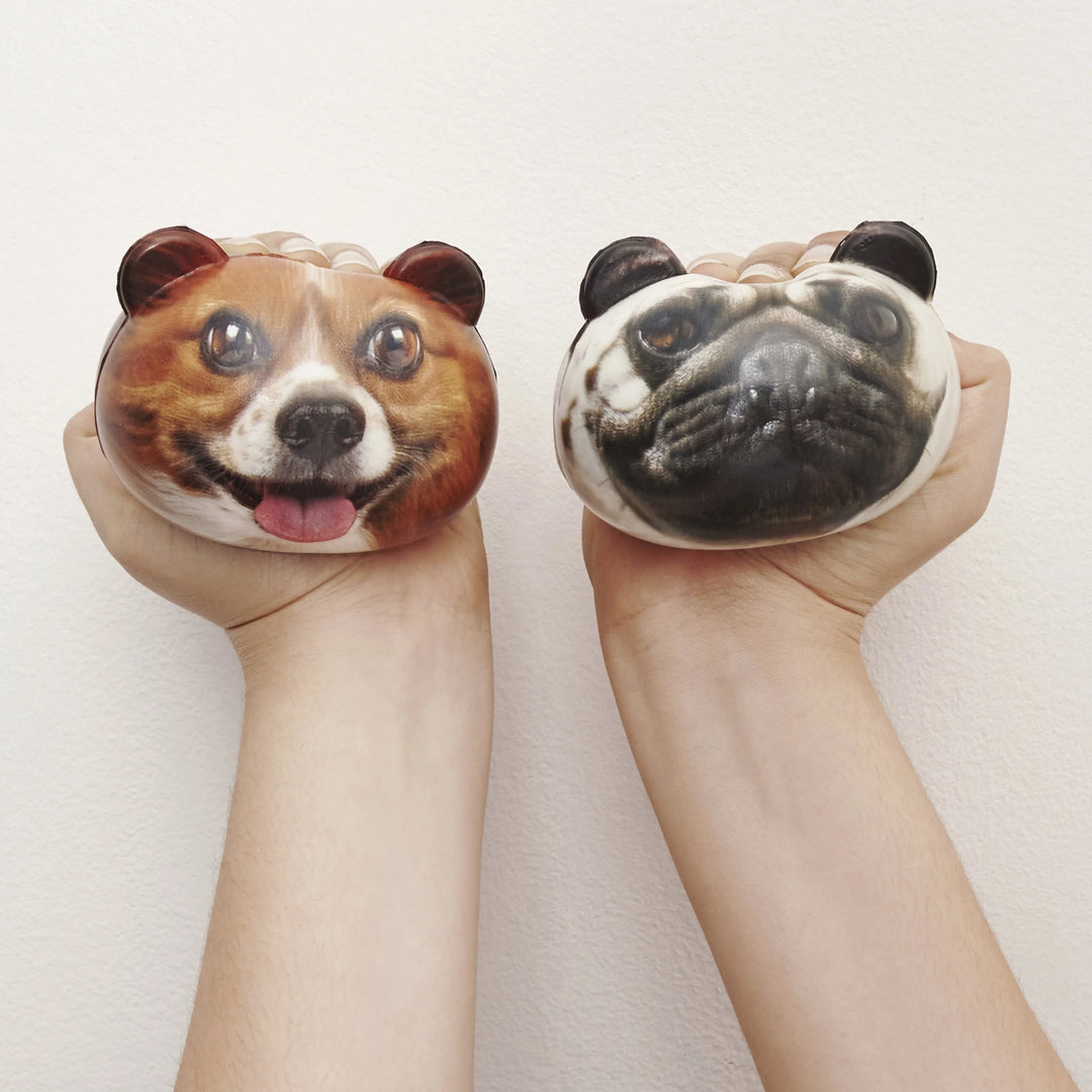 Kikkerland Dog Stress Balls by Cornucopia Home and Gift, colorful squeeze toys designed for dogs to relieve stress and boredom.