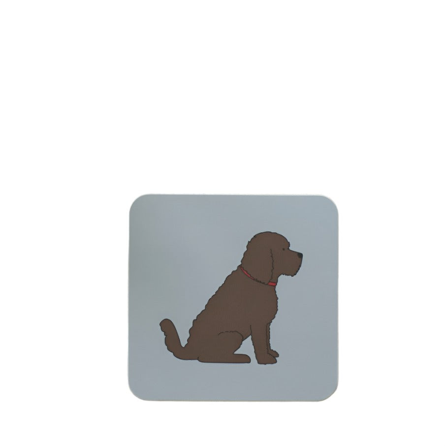 Chocolate Cockapoo and Labradoodle coaster featuring a cute sweet William design by Cornucopia Home and Gift.
