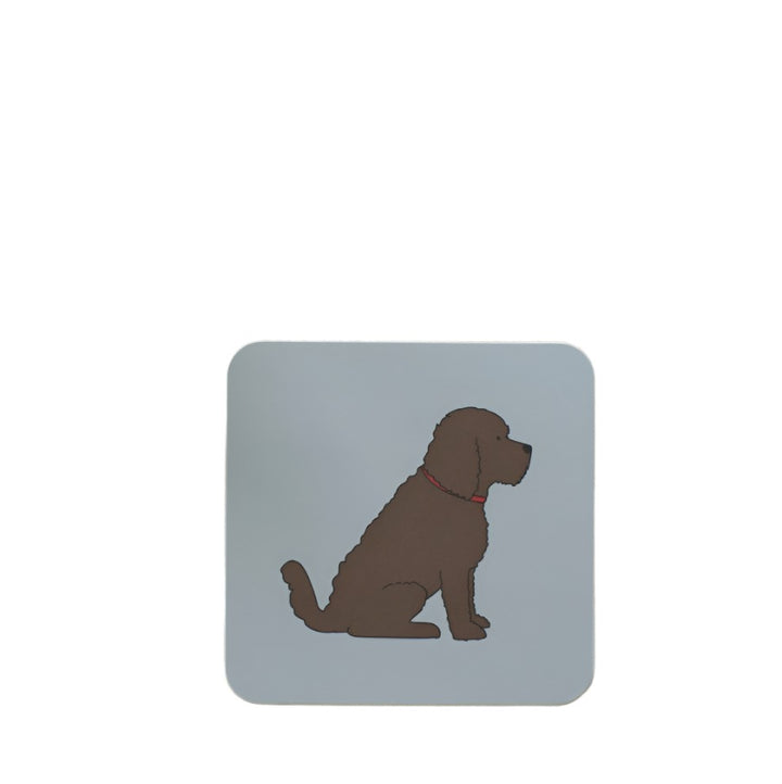 Chocolate Cockapoo and Labradoodle coaster featuring a cute sweet William design by Cornucopia Home and Gift.