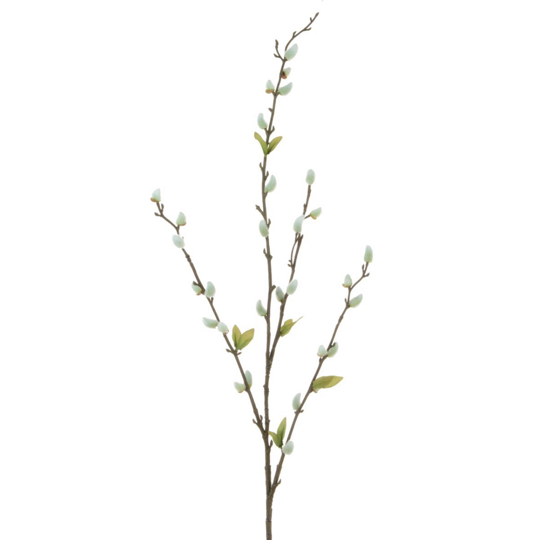 Cream-colored pussy willow stem from Floralsilk by Cornucopia Home and Gift, showcasing soft, fuzzy catkins on a slender branch.