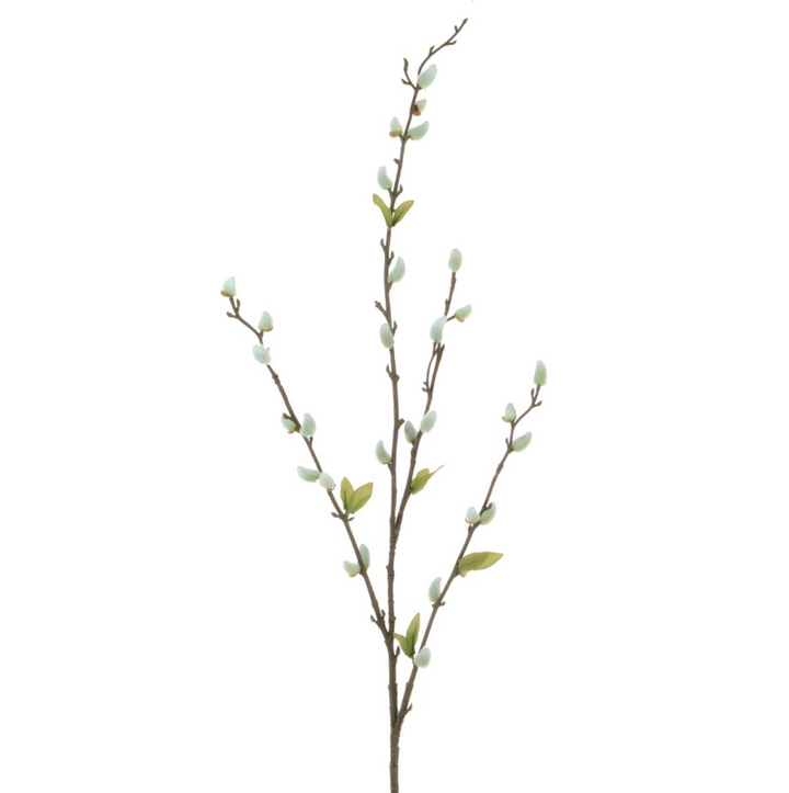 Cream-colored pussy willow stem from Floralsilk by Cornucopia Home and Gift, showcasing soft, fuzzy catkins on a slender branch.