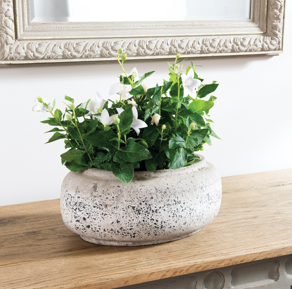 Oval Birkdale planter by Cornucopia Home and Gift, featuring a stylish design perfect for indoor or outdoor plant display.