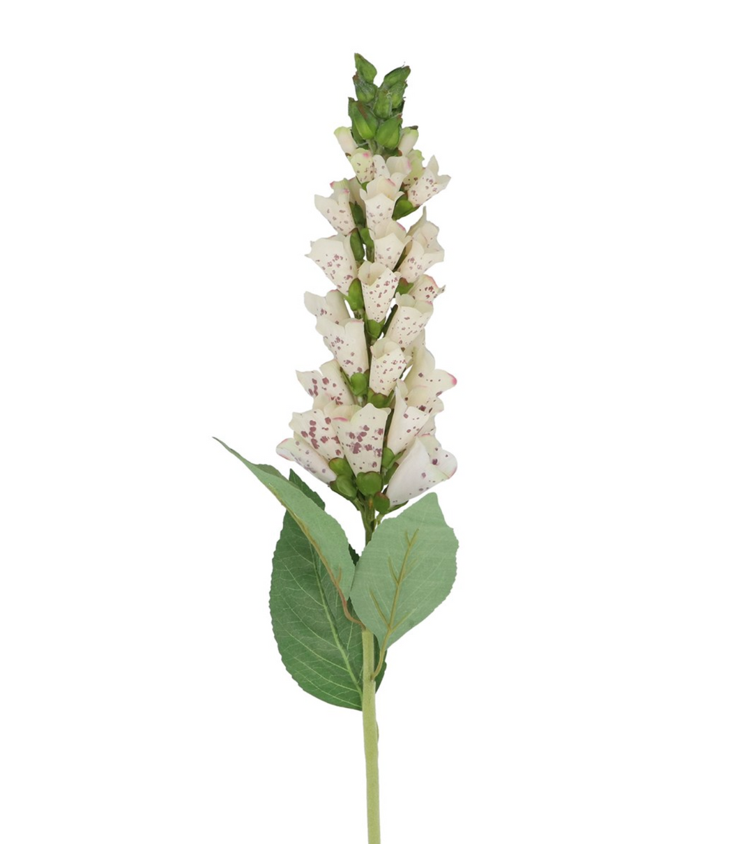 Cream foxglove faux flower stem by Gisela Graham, featuring realistic-looking blossoms on a slender stem.