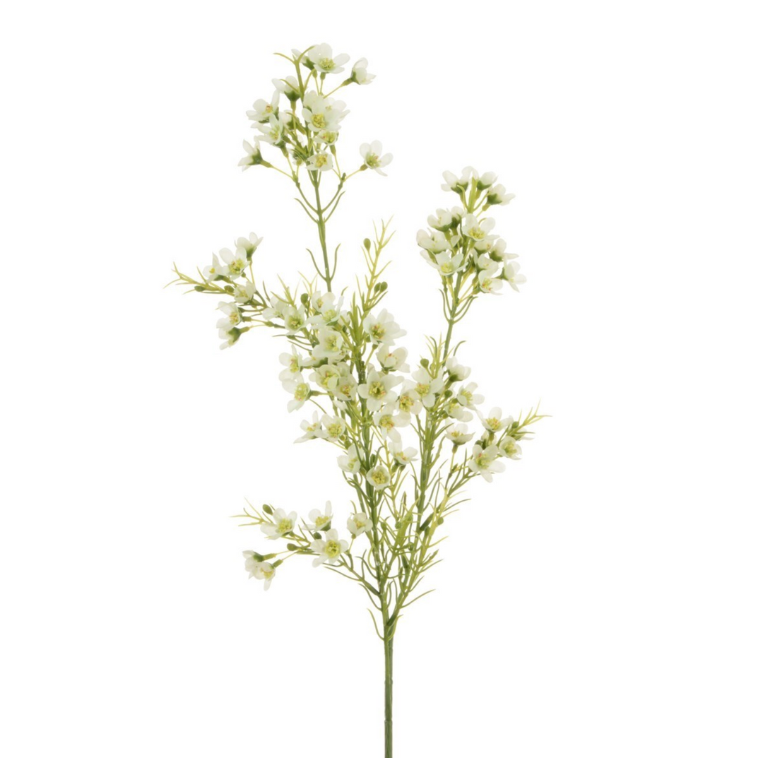 White Wintersweet Spray faux flower stem from Floralsilk by Cornucopia Home and Gift, showing delicate white blossoms on a slender stem.