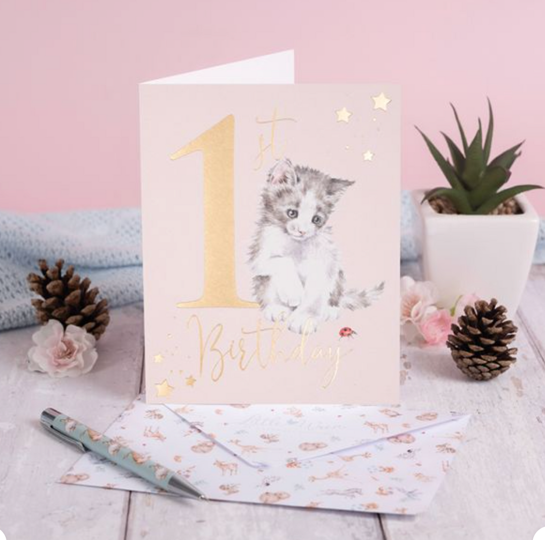 A Purrfect Day 1st Birthday Cat Card