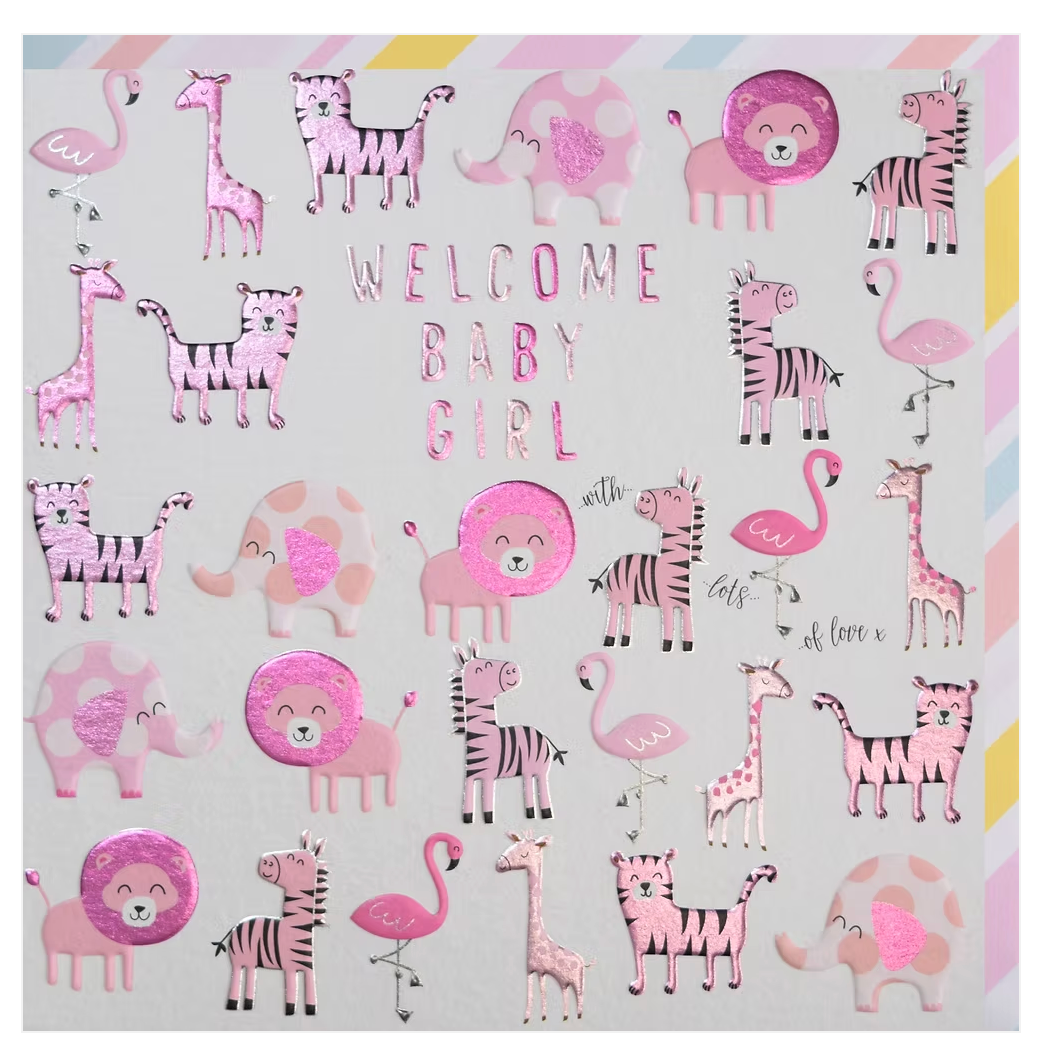 Welcome Baby Girl Card