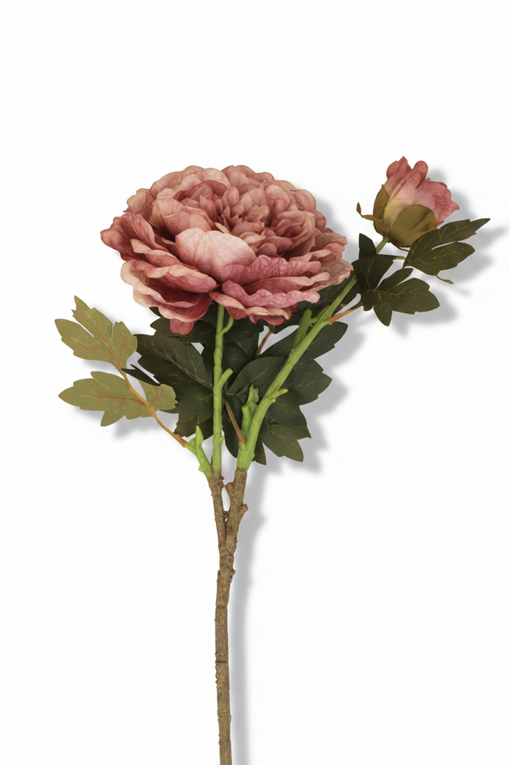 Peony with Bud Faux Flower Stem - Dusky Mauve