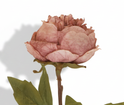 Peony Faux Flower Stem - Dusky Mauve