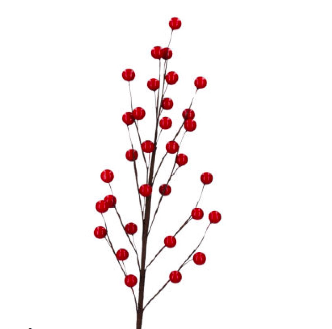 Red Berry Spray