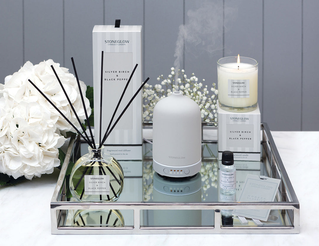 Stoneglow Modern Classics Silver Birch and Black Pepper reed diffuser in a 120ml bottle, displayed on a stylish home setting.