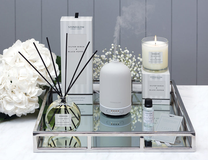 Stoneglow Modern Classics Silver Birch and Black Pepper reed diffuser in a 120ml bottle, displayed on a stylish home setting.