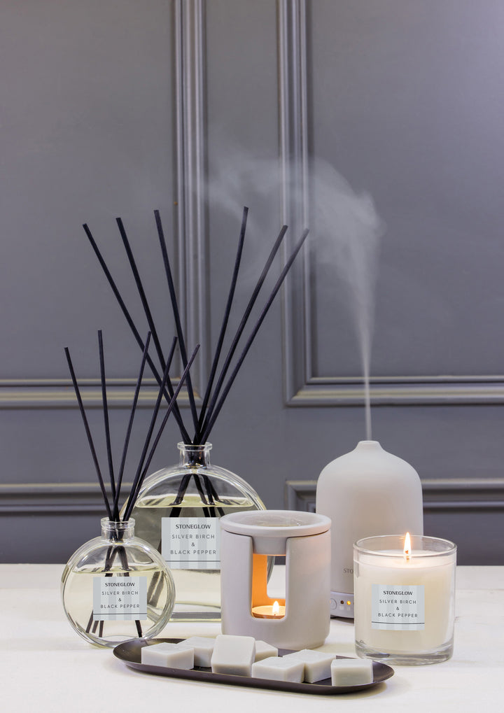 Stoneglow Modern Classics Silver Birch and Black Pepper reed diffuser in a 120ml glass bottle with natural decor accents.
