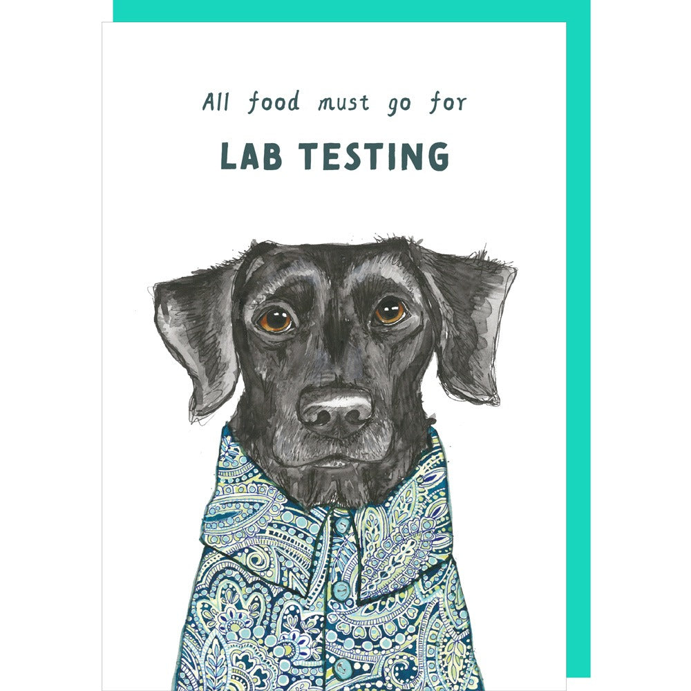 Rosie Made a Thing Lab Test Card by Cornucopia Home and Gift, featuring a colorful, illustrated card with lab testing symbols.