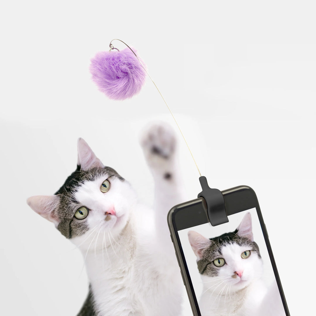 Kikkerland Kitty Phone Clip featuring a cute cat design, attached to a smartphone for easy selfie or photo taking.