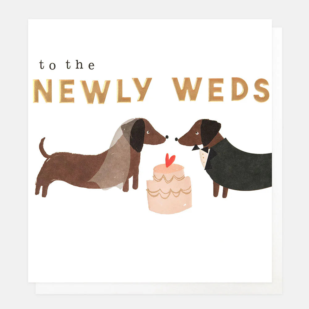 Caroline Gardner wedding card featuring a bride and groom with sausage dogs, perfect for newlyweds from Cornucopia Home and Gift.