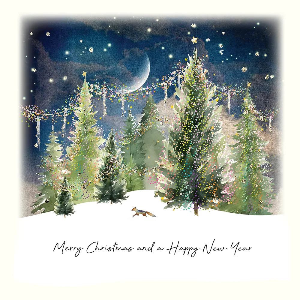 Merry Christmas and a Happy New Year Card