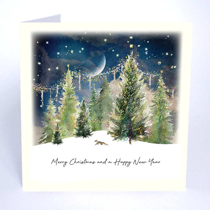Merry Christmas and a Happy New Year Card