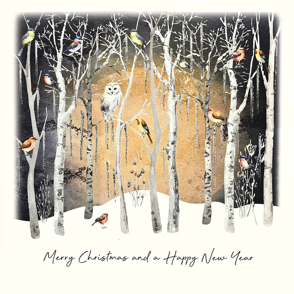 Merry Christmas and a Happy New Year Owl Card