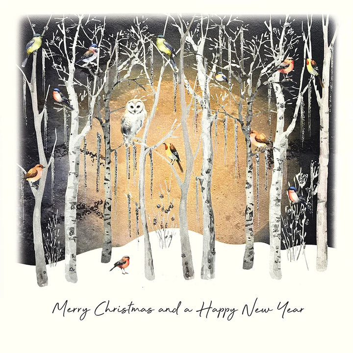 Merry Christmas and a Happy New Year Owl Card