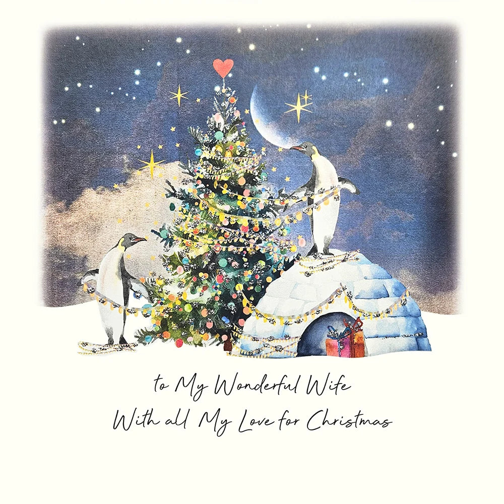 To My Wonderful Wife with All My Love for Christmas Card