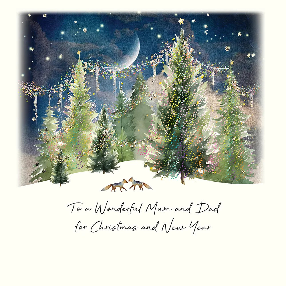 To a Wonderful Mum and Dad Christmas Card