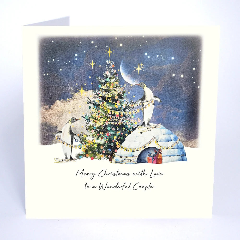 Merry Christmas with Love to a Wonderful Couple Card