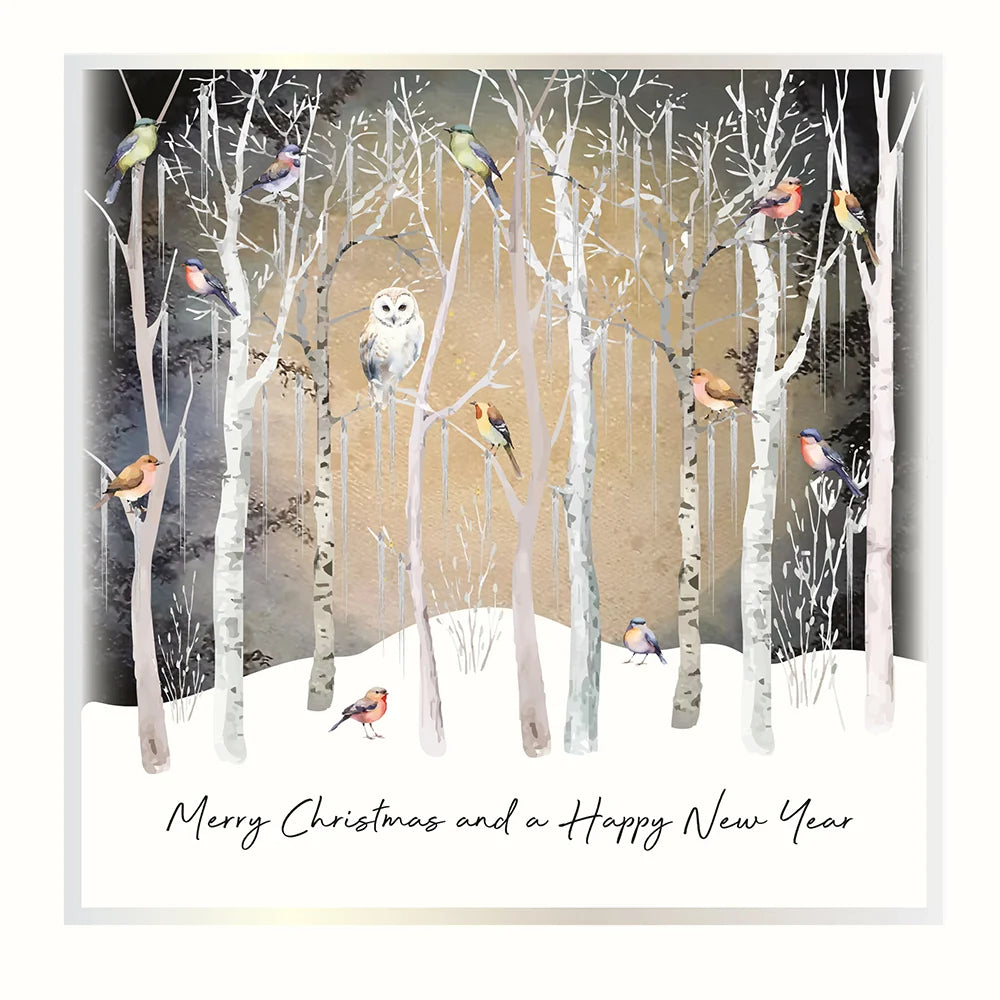 Christmas Magic Boxes-Christmas New Year Owl 6 Cards