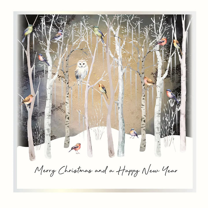 Christmas Magic Boxes-Christmas New Year Owl 6 Cards