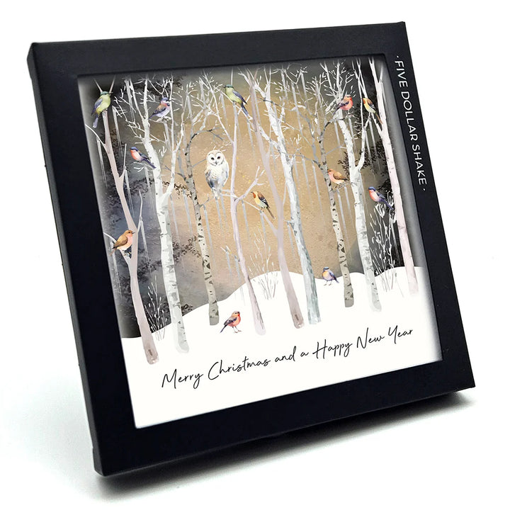 Christmas Magic Boxes-Christmas New Year Owl 6 Cards