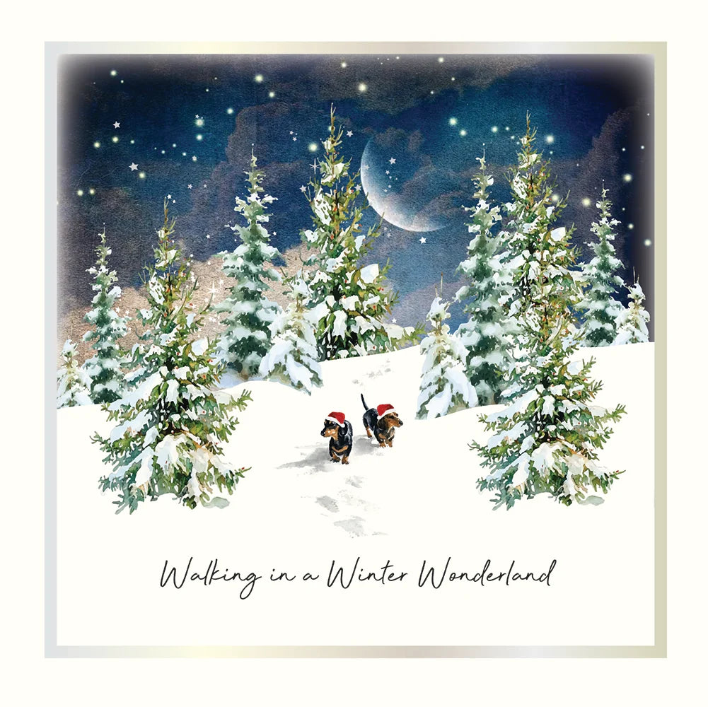 Winter Wonderland Dogs Box of 6 Christmas Cards