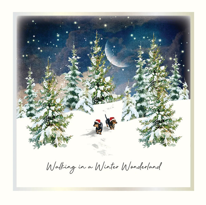 Winter Wonderland Dogs Box of 6 Christmas Cards